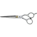 Professionelle Friseurschere – Haarstyling-Werkzeug | Fashiongirl